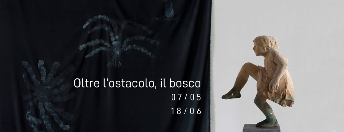 Cristiano Rizzo / Flavia Robalo - Oltre l’ostacolo il bosco